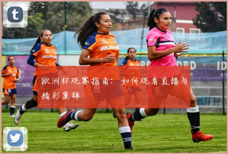 欧洲杯观赛指南：如何观看直播与精彩集锦