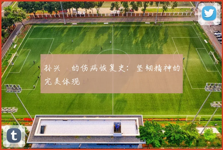孙兴慜的伤病恢复史：坚韧精神的完美体现